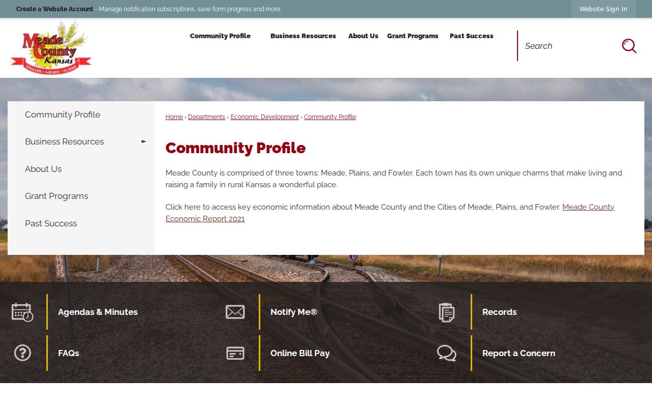 Meade County court docket community profile identifying Meade, Plains, and Fowler