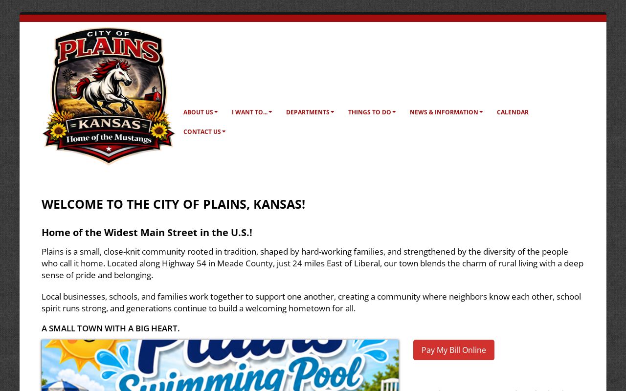 Plains court records source with City Hall address, phone, hours, and community identity